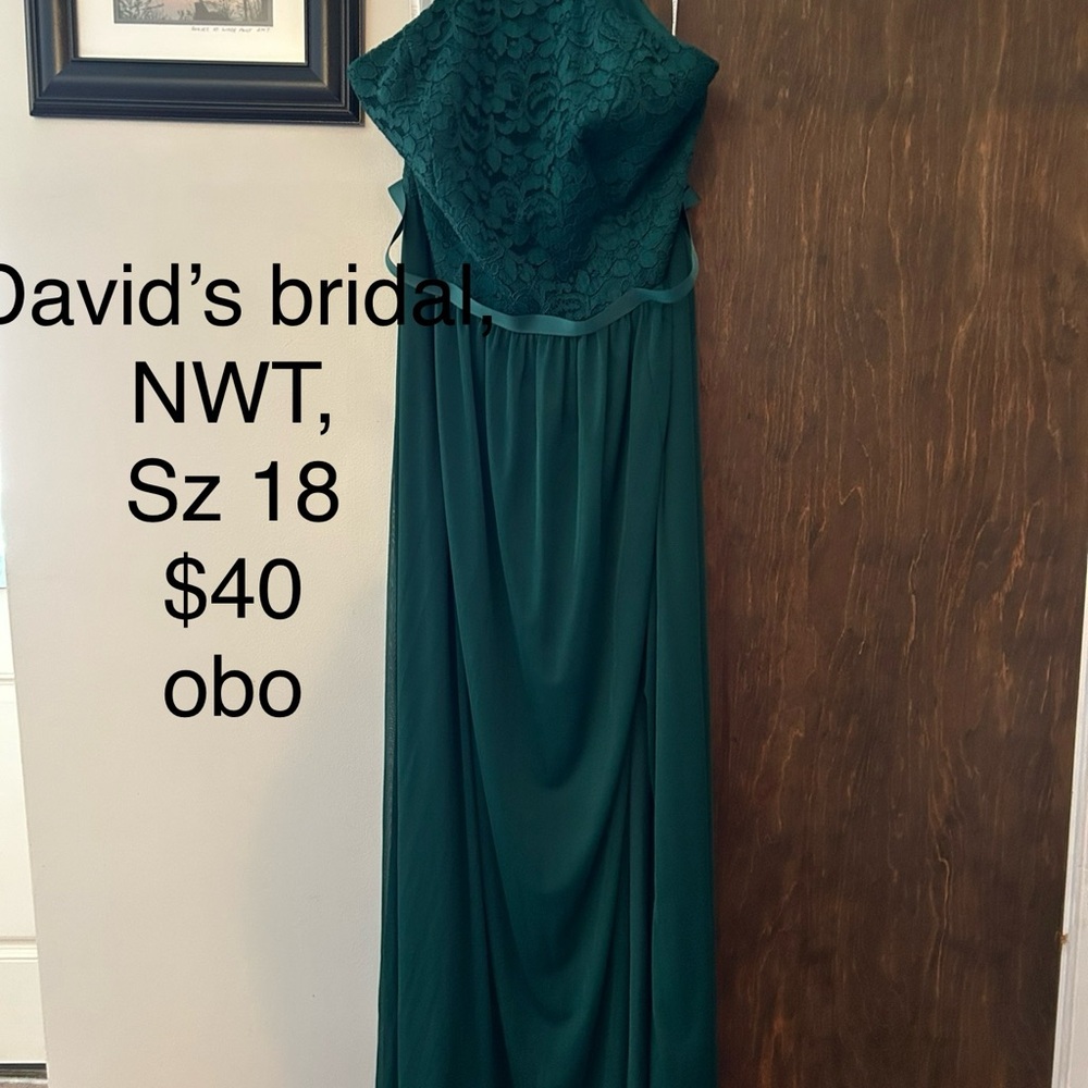 Elegant Green Lace Dress